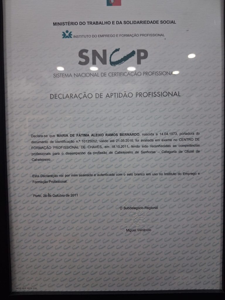 Declaração de Aptidão Profissional